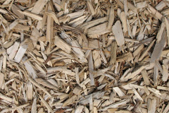 biomass boilers Cunningburn